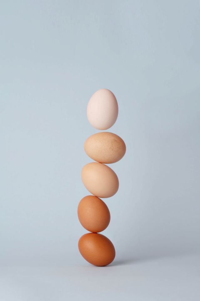 eggstack