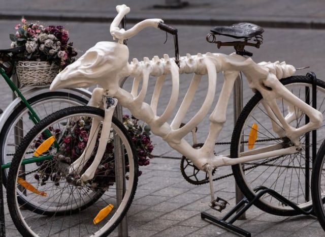 bonebike