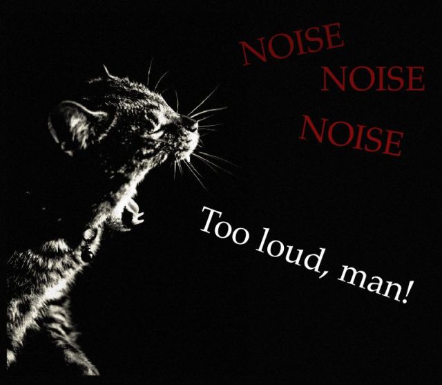 noisecat