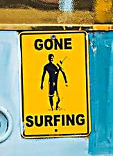 gonesurfing