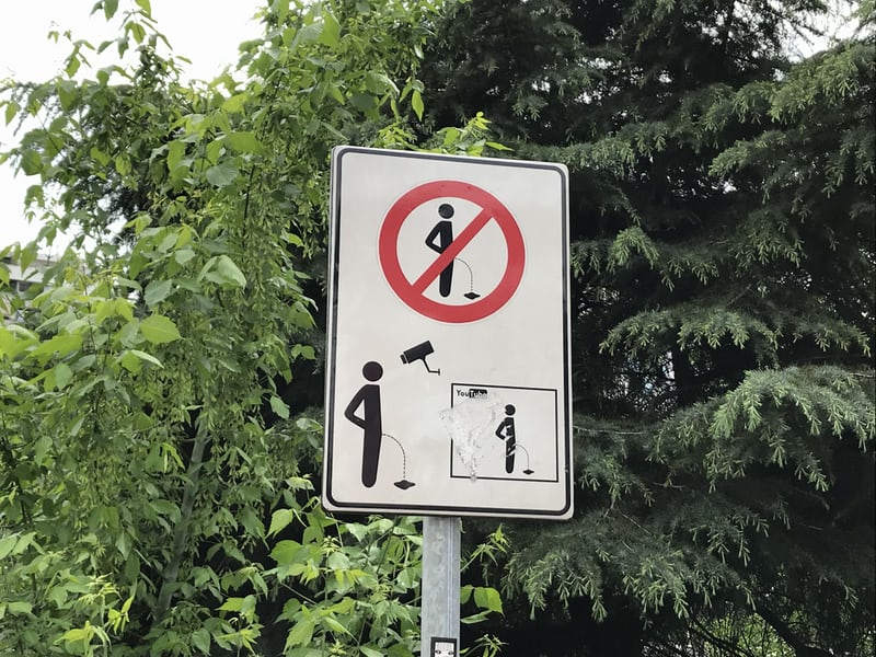 photo-1588344438129-e3806ea9ae33